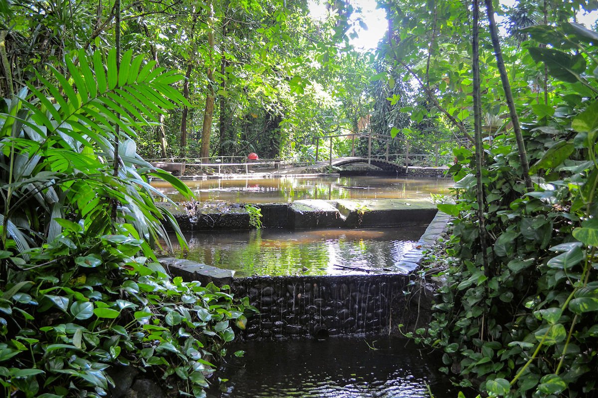 La Laguna Botanical Garden
