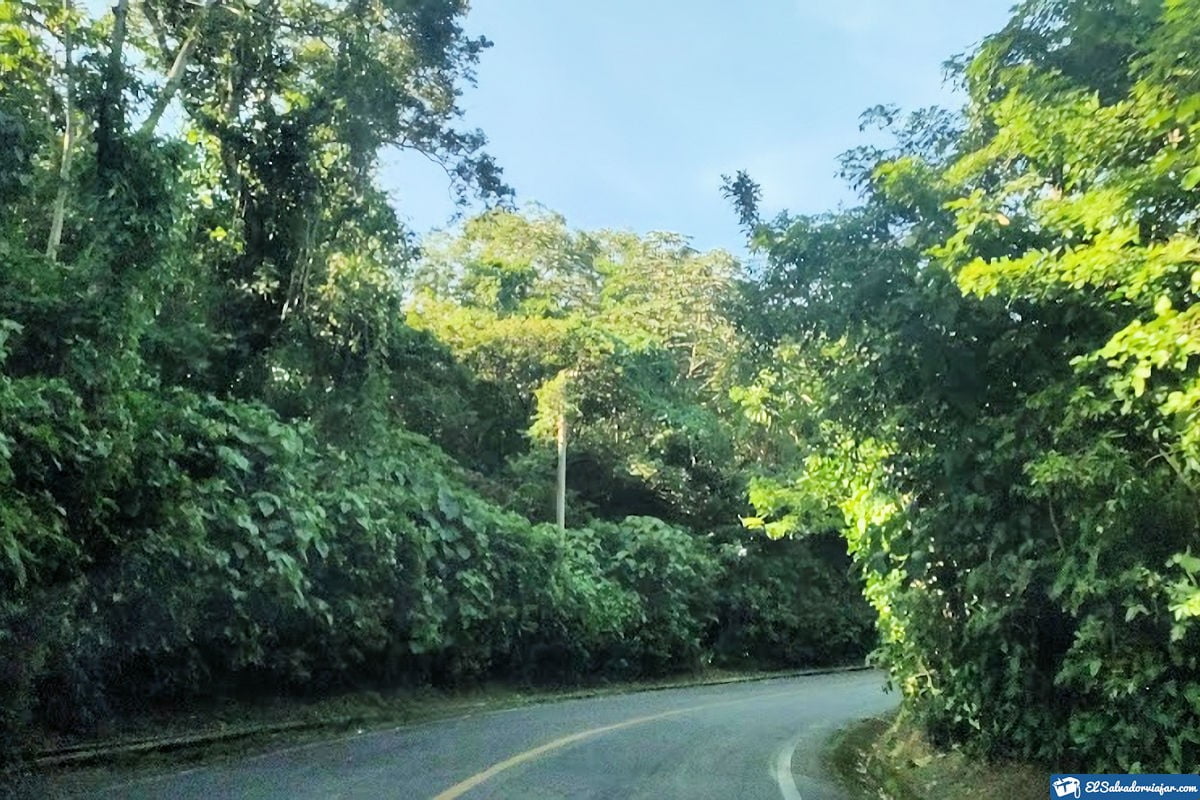 Road to Don Juan Waterfalls