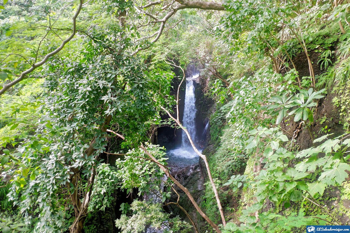 Nature in Tamanique Waterfalls