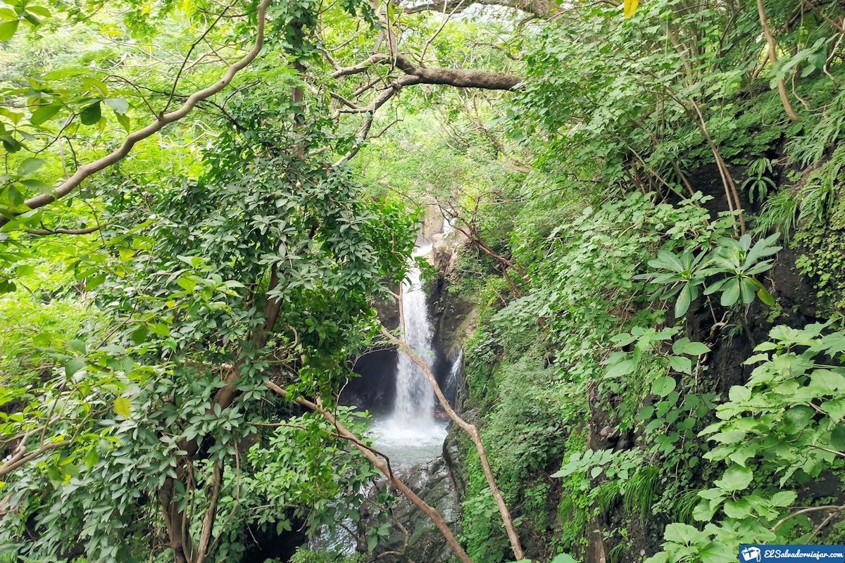 Tamanique Waterfalls Vegetation