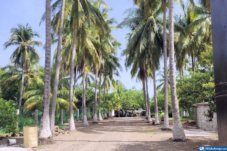 BARRA DE SANTIAGO BEACH » What to see in this paradise – El Salvador Travel