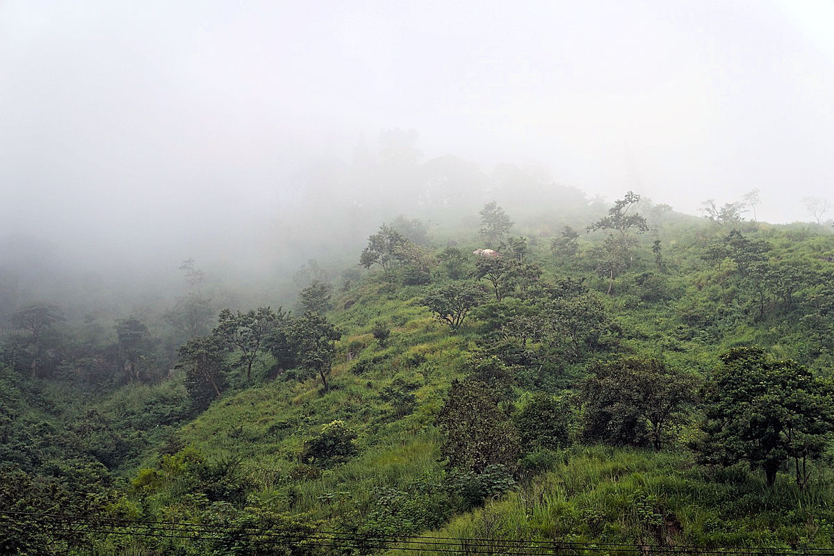Visit Cerro Verde. Misty Forest
