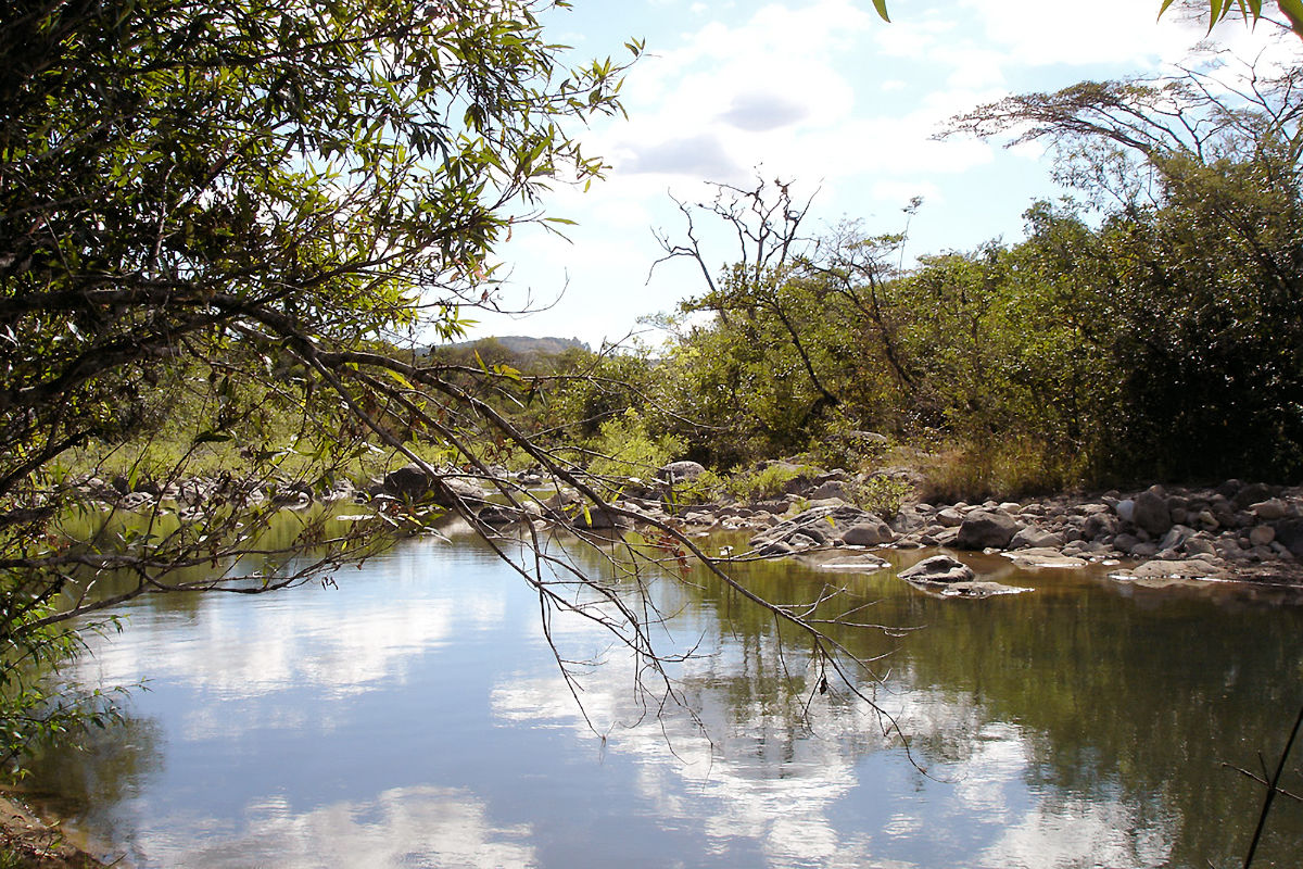Sapo River Protected Area.