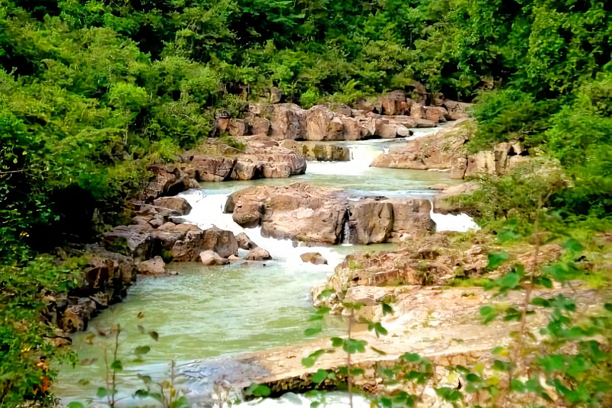 Visit to Sapo River in Morazán. 