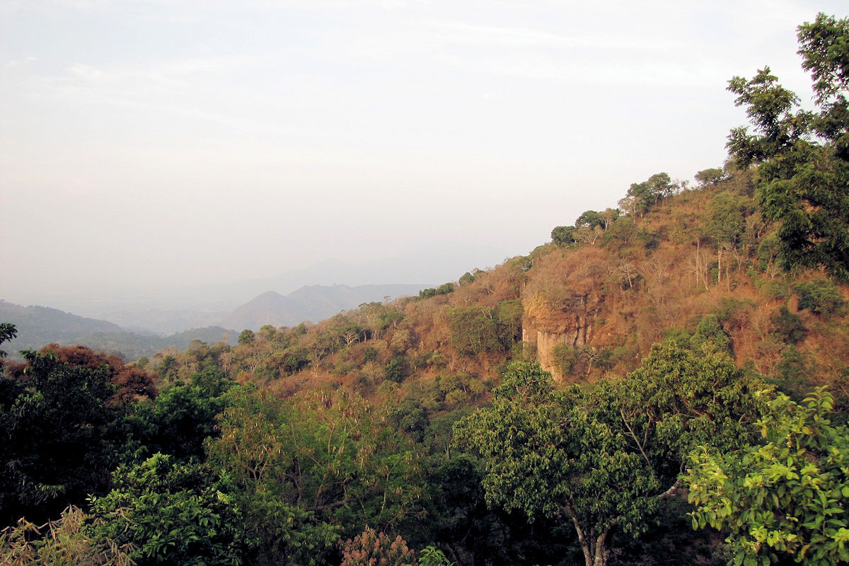 Views of Jayaque