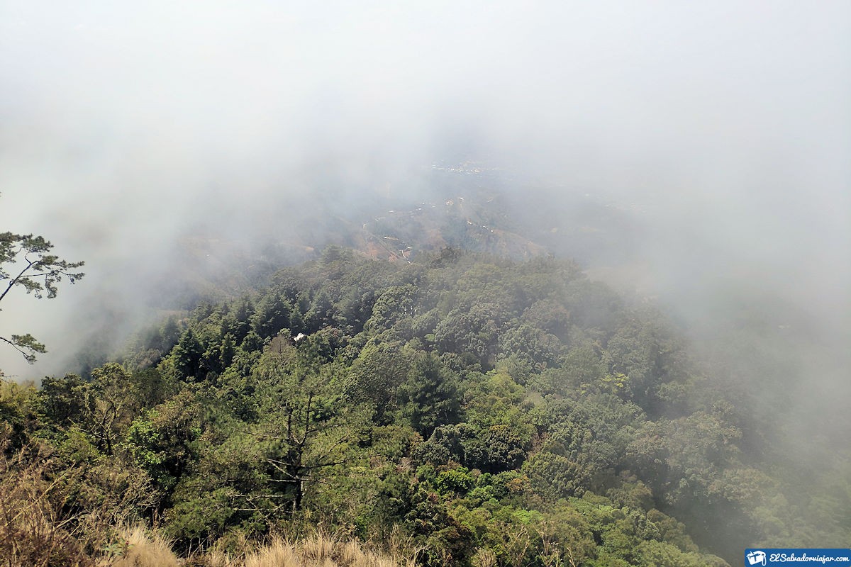 Clima y flora de Cerro el Pital
